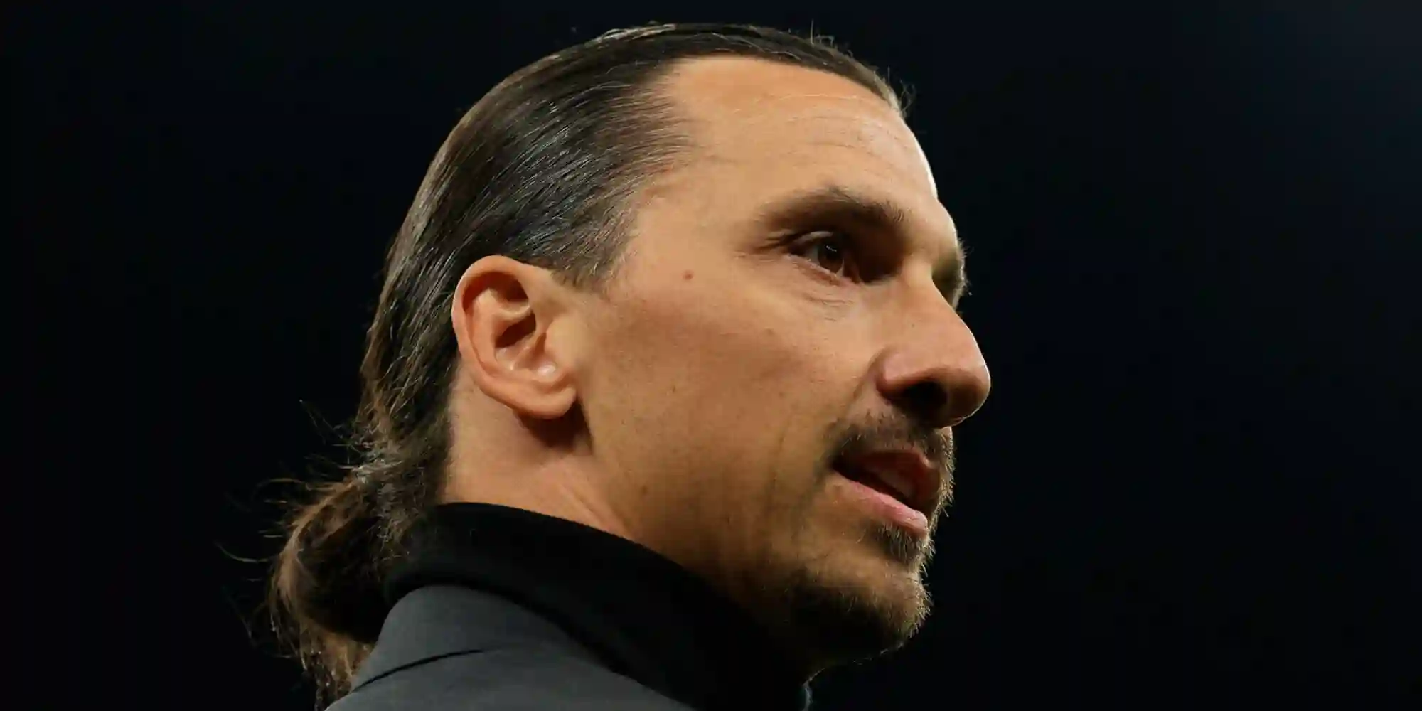 Ibrahimovic, Boban, The Boss Lions et chatons